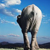 blog_icon_elephant2.jpg